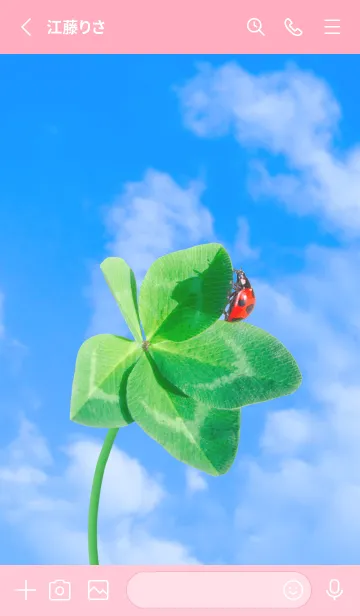 [LINE着せ替え] 本物ラッキークローバー & Ladybird #2-18の画像2