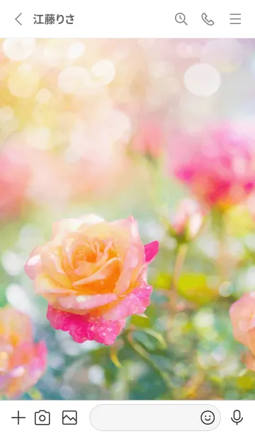 [LINE着せ替え] 薔薇(バラ)の花の着せかえ(R2588)の画像2