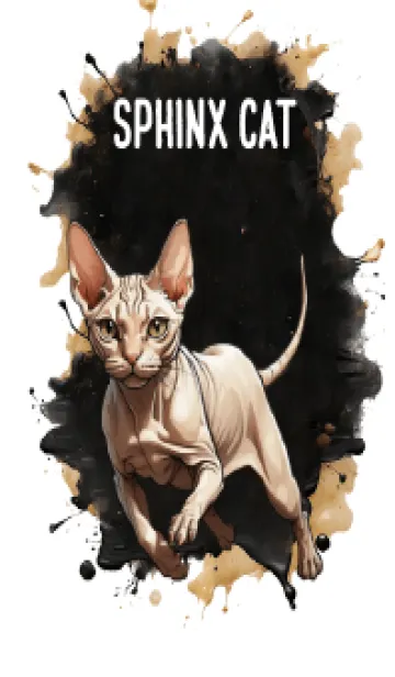 [LINE着せ替え] Sphinx cat So Cool Theme (JP)の画像1
