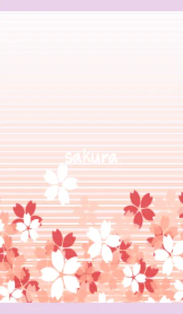 [LINE着せ替え] ストライプと桜 紫色の画像1