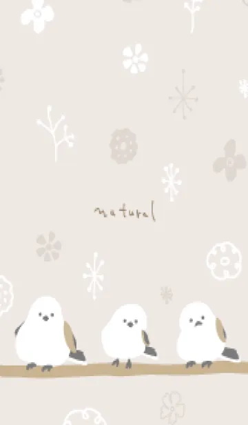 [LINE着せ替え] シマエナガ 冬模様5の画像1