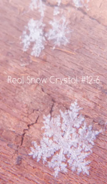 [LINE着せ替え] Real Snow Crystal #12-6の画像1