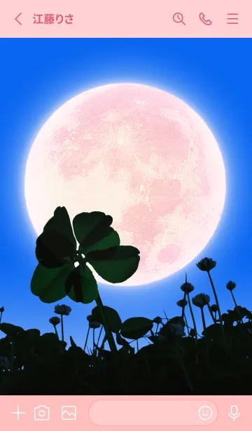 [LINE着せ替え] 7-Leaf Clover & Full Moon #6-10の画像2