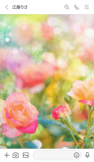 [LINE着せ替え] 薔薇(バラ)の花の着せかえ(R2608)の画像2