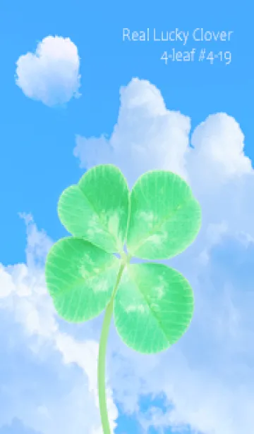 [LINE着せ替え] 本物ラッキークローバー 4-leaf #4-19の画像1