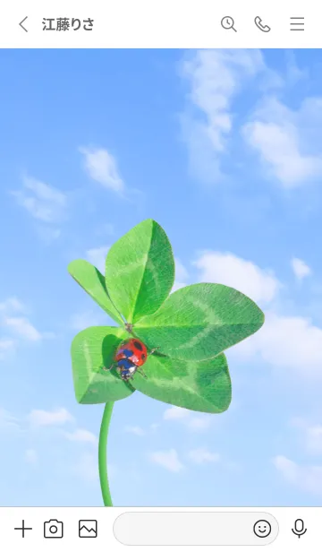 [LINE着せ替え] 本物ラッキークローバー & Ladybird #3-19の画像2