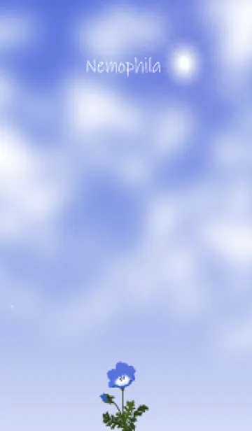 [LINE着せ替え] 2月の誕生花＊ネモフィラの画像1