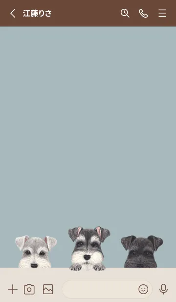 [LINE着せ替え] ワンワン - シュナウザー - ブルーグレーの画像2