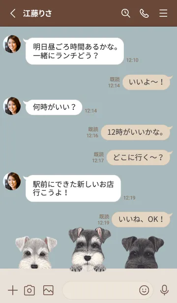 [LINE着せ替え] ワンワン - シュナウザー - ブルーグレーの画像3