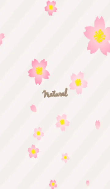 [LINE着せ替え] 桜舞う季節22の画像1