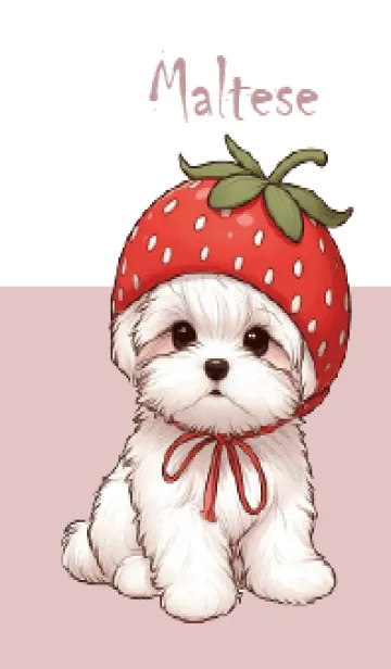 [LINE着せ替え] イチゴのマルチーズ犬トビー-JPの画像1