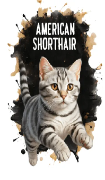 [LINE着せ替え] American Shorthair So Cool Theme 2 (JP)の画像1