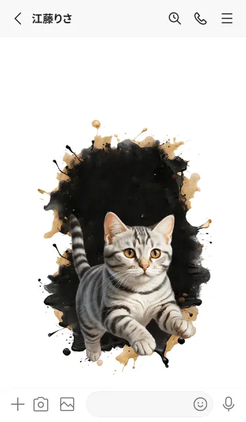 [LINE着せ替え] American Shorthair So Cool Theme 2 (JP)の画像2