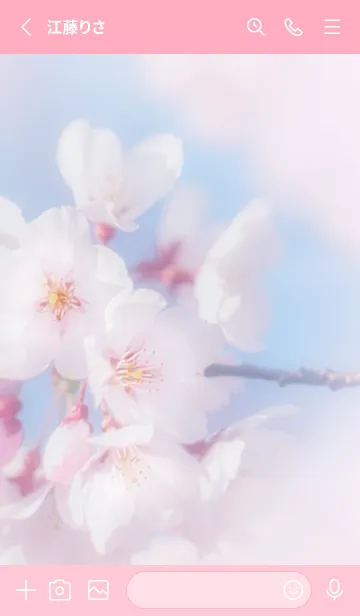 [LINE着せ替え] SakuraPhoto 6 Not AIの画像2