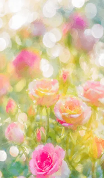 [LINE着せ替え] 薔薇(バラ)の花の着せかえ(R2657)の画像1