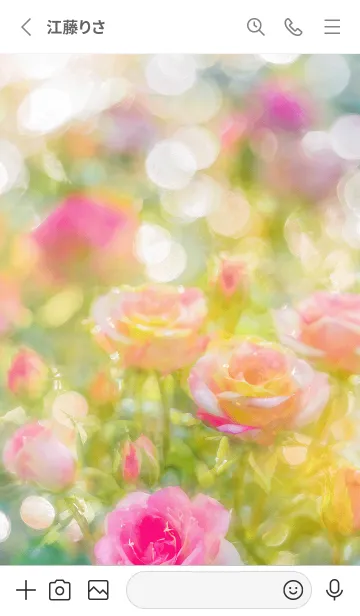 [LINE着せ替え] 薔薇(バラ)の花の着せかえ(R2657)の画像2