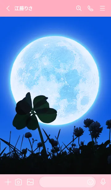 [LINE着せ替え] 7-Leaf Clover & Full Moon #4-11の画像2