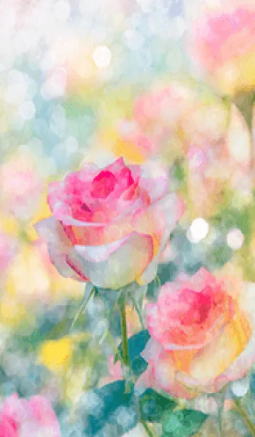 [LINE着せ替え] 薔薇(バラ)の花の着せかえ(R2660)の画像1