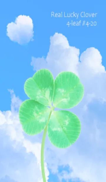 [LINE着せ替え] 本物ラッキークローバー 4-leaf #4-20の画像1