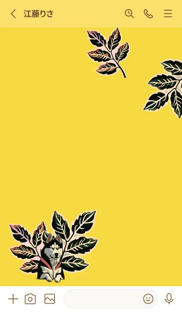 [LINE着せ替え] yellow 植物とシベリアンハスキーの画像2