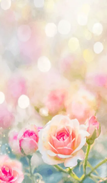 [LINE着せ替え] 薔薇(バラ)の花の着せかえ(R2689)の画像1