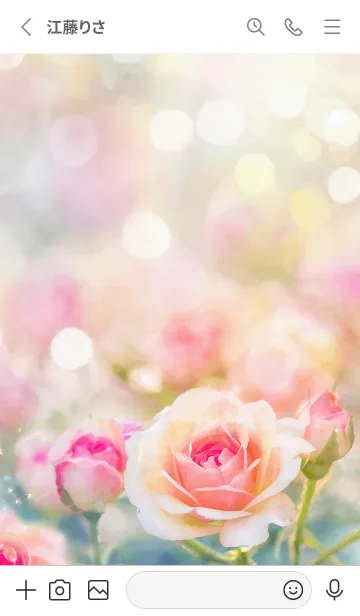 [LINE着せ替え] 薔薇(バラ)の花の着せかえ(R2689)の画像2