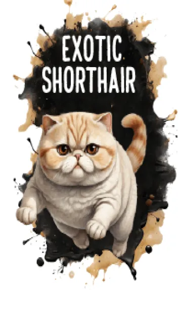 Exotic Shorthair So Cool Theme 2 (JP)の着せ替えメイン画像