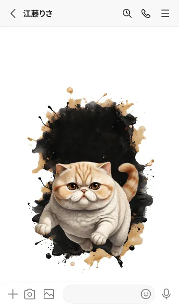 [LINE着せ替え] Exotic Shorthair So Cool Theme 2 (JP)の画像2