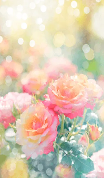 [LINE着せ替え] 薔薇(バラ)の花の着せかえ(R2692)の画像1