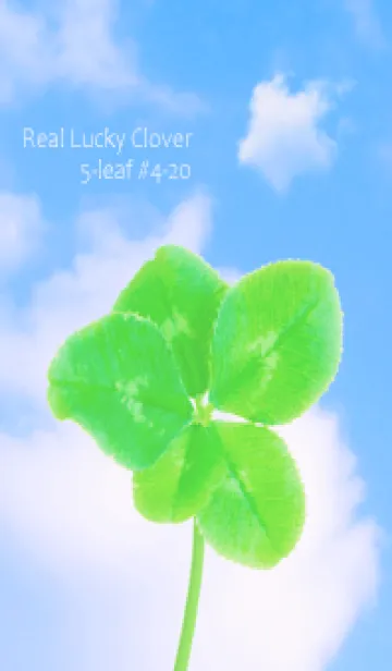 [LINE着せ替え] 本物ラッキークローバー 5-leaf #4-20の画像1