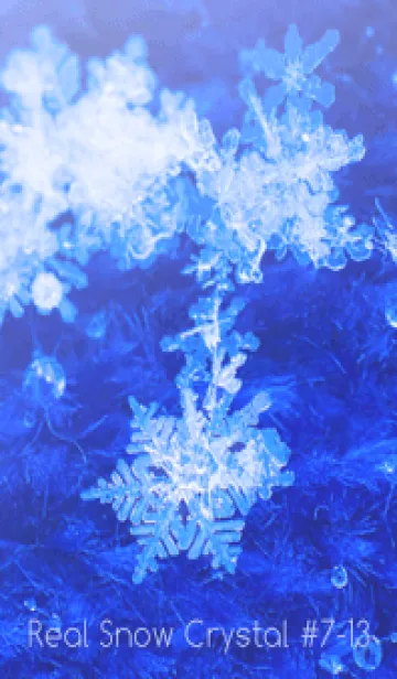 [LINE着せ替え] Real Snow Crystal #7-13の画像1