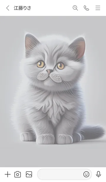 [LINE着せ替え] Cute fat grey cat (JP)の画像2