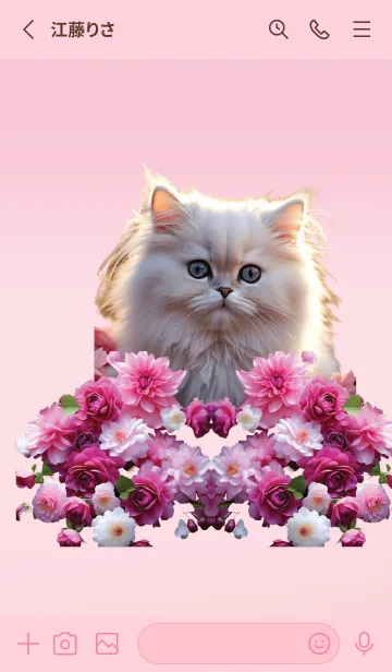 [LINE着せ替え] Persian cat theme (JP)の画像2
