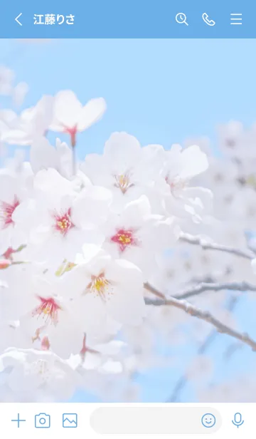 [LINE着せ替え] SakuraPhoto 17 Not AIの画像2