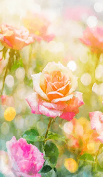 [LINE着せ替え] 薔薇(バラ)の花の着せかえ(R2705)の画像1