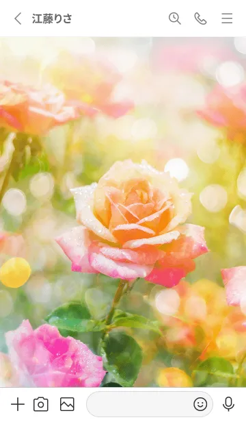 [LINE着せ替え] 薔薇(バラ)の花の着せかえ(R2705)の画像2