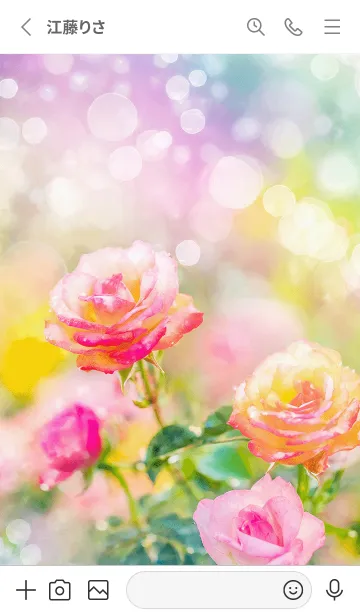 [LINE着せ替え] 薔薇(バラ)の花の着せかえ(R2708)の画像2