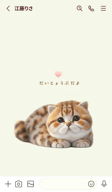 [LINE着せ替え] 癒し猫メッセージ_002 だいじょうぶだよの画像2