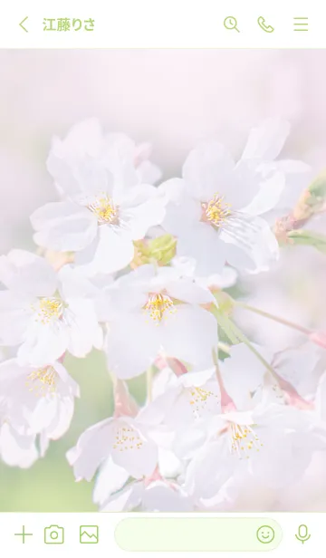 [LINE着せ替え] SakuraPhoto 24 Not AIの画像2