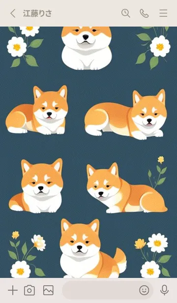 [LINE着せ替え] 柴犬ファミリー DWcZの画像2