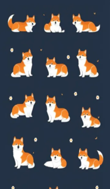 [LINE着せ替え] 柴犬ファミリー 小さなデイジーの画像1