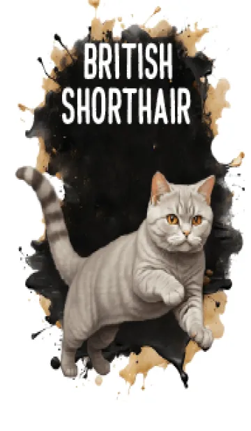 [LINE着せ替え] British Shorthair So Cool Theme (JP)の画像1