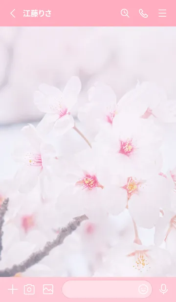 [LINE着せ替え] SakuraPhoto 28 Not AIの画像2