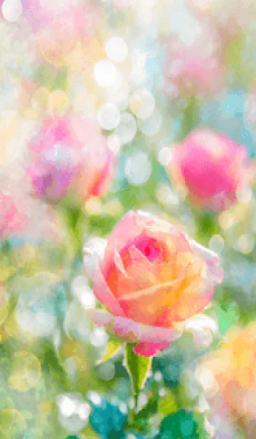 [LINE着せ替え] 薔薇(バラ)の花の着せかえ(R2726)の画像1