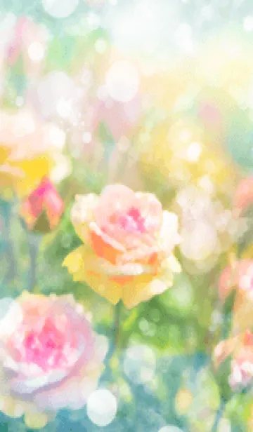 [LINE着せ替え] 薔薇(バラ)の花の着せかえ(R2728)の画像1