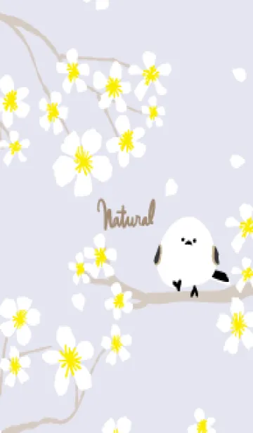 [LINE着せ替え] シマエナガ 白い花2の画像1