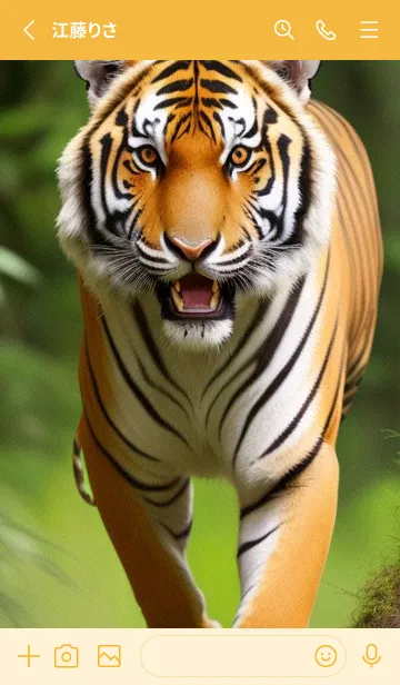 [LINE着せ替え] トラ rGiDの画像2