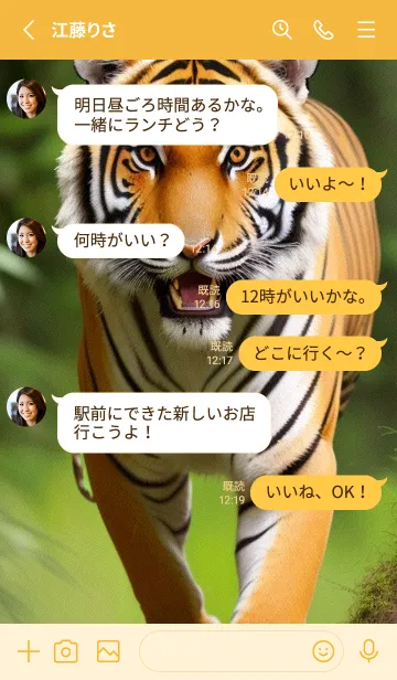 [LINE着せ替え] トラ rGiDの画像3