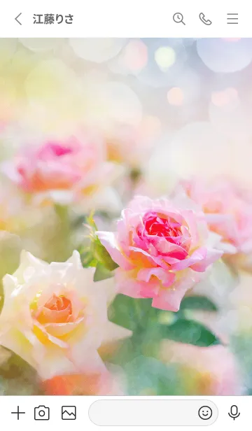 [LINE着せ替え] 薔薇(バラ)の花の着せかえ(R2731)の画像2