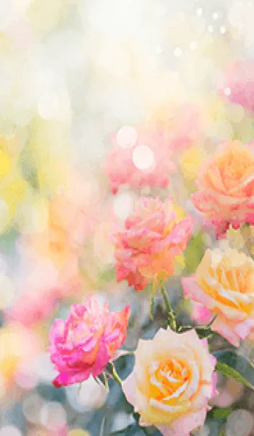 [LINE着せ替え] 薔薇(バラ)の花の着せかえ(R2735)の画像1